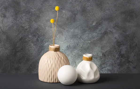 Ball, still life, grey background, items, stems, a bunch, vases, bottle