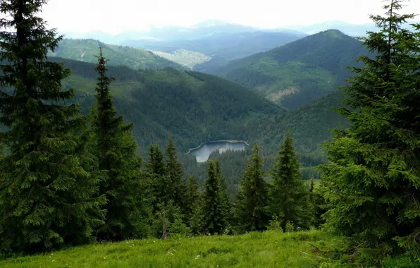 Picture mountains, nature, lake, ate, Ukraine, Carpathians, Transcarpathia, Synevyr