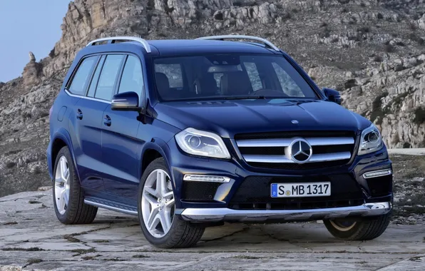 Blue, rocks, Mercedes-Benz, jeep, Mercedes, the front, 350, BlueTec