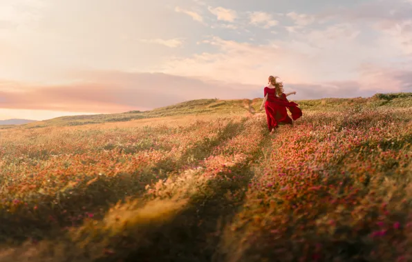 Road, field, the sky, girl, clouds, flowers, nature, pose