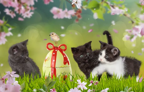 Greens, grass, look, cats, flowers, branches, kitty, grey