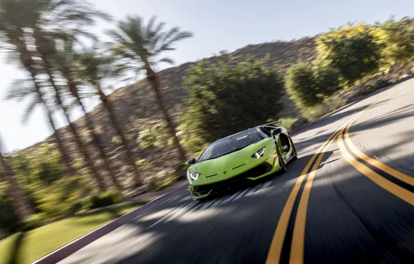 Roadster, Lamborghini, supercar, Aventador, 2020, SVJ, Aventador SVJ