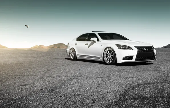 Lexus, white, wheels, LS460, frontside