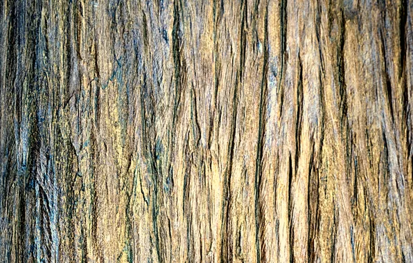 Color, structure, wood, finish