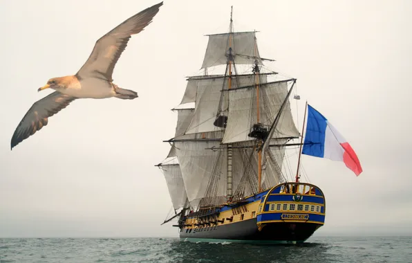 Ship, frigate, Hermione, sailing