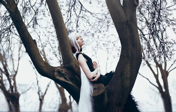 Girl, tree, white hair, long, Bella Kotak