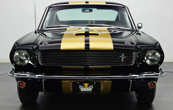 Picture Ford Mustang, Muscle car, Vehicle, Shelby GT 350 H