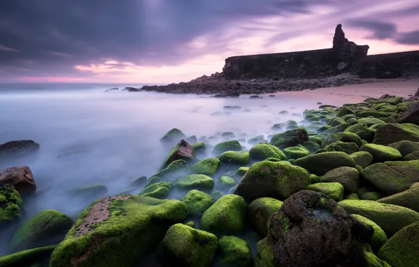 Sea, the sky, clouds, algae, sunset, fog, stones, rocks
