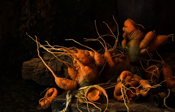 Roots, the dark background, table, Board, harvest, still life, carrots, root vegetables
