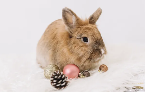 Rabbit, Christmas, New year, Christmas decorations, the year of the rabbit, 2023