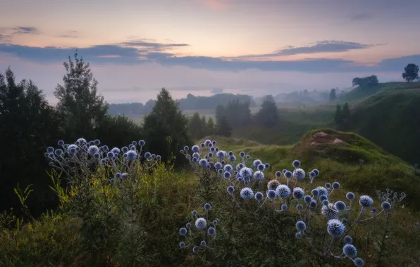 Nature, hills, Konstantinovo, Rev Alex, Ryazan oblast
