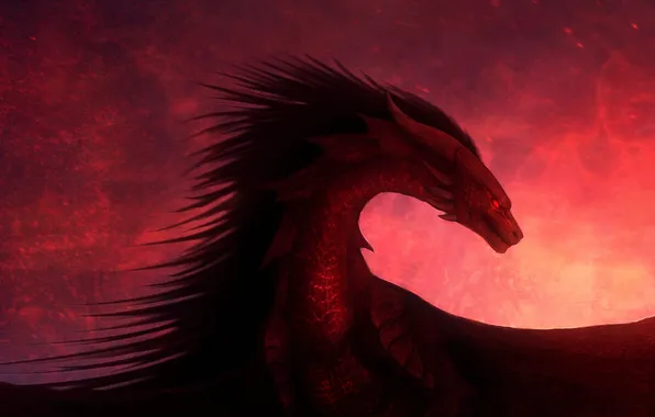Picture dragon, wings, red background