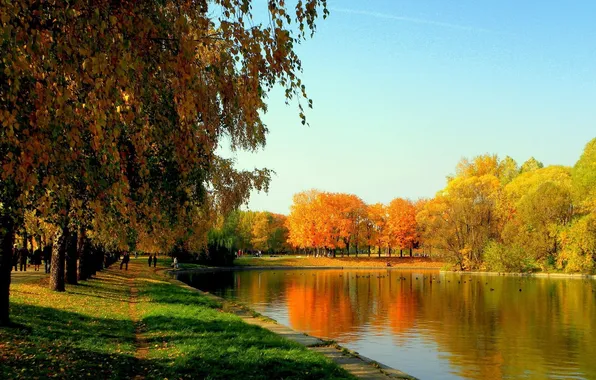 Autumn, the sky, grass, leaves, trees, joy, lake, pond