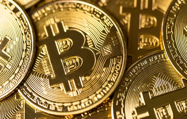 Money, bitcoin, currency