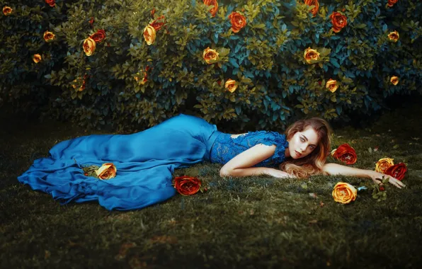 Girl, roses, dress, the bushes