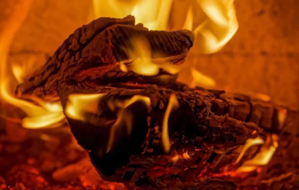 Heat, fire, wood, plasma