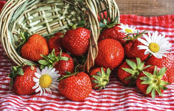 Summer, flowers, berries, food, chamomile, towel, harvest, strawberry