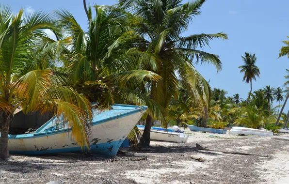 Picture sea, beach, palm trees, boat, Dominican Republic, Dominican Republic