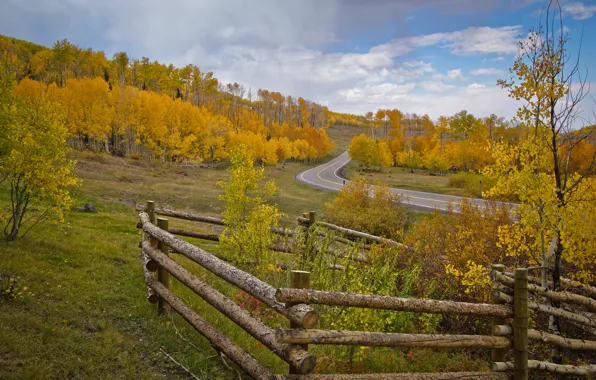 Road, autumn, the sky, trees, the fence, slope