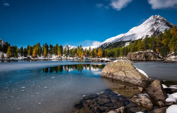 Ice, forest, the sky, snow, trees, mountains, lake, reflection