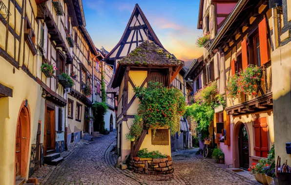 Flowers, street, France, home, Alsace, Eguisheim, Eguisheim
