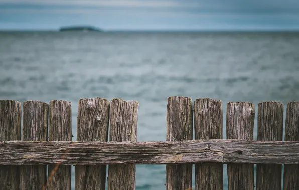 Picture sea, nature, the fence