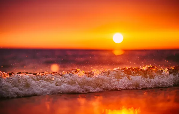 Sea, wave, sunset