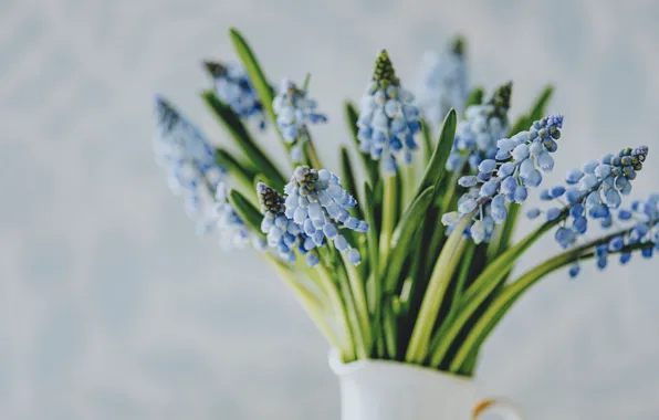 Flower, Vase, Anita Austvika