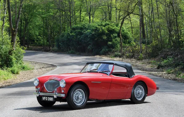 Road, trees, red, retro, Red, car, Austin, Healey