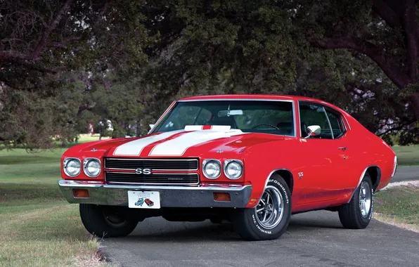 Road, trees, red, coupe, Chevrolet, Chevrolet, Coupe, 1970