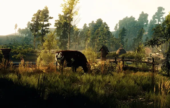 Picture trees, cow, The Witcher, The Witcher 3