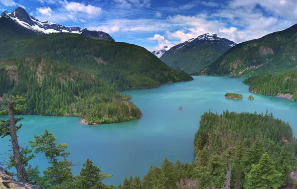 Picture forest, mountains, lake, panorama, Washington, Washington State, North Cascades National Park, Diablo Lake