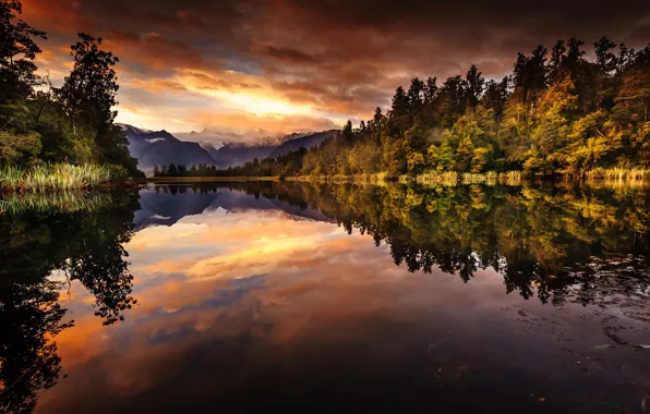 Forest, reflection, mountains, lake, morning, New Zealand, South island, National Park Westland