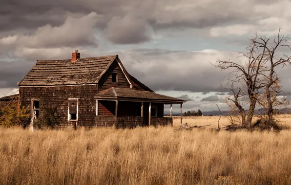Field, landscape, home