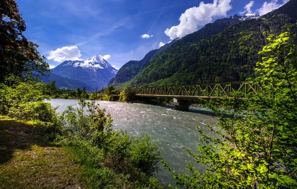 Greens, forest, the sky, the sun, clouds, trees, mountains, bridge