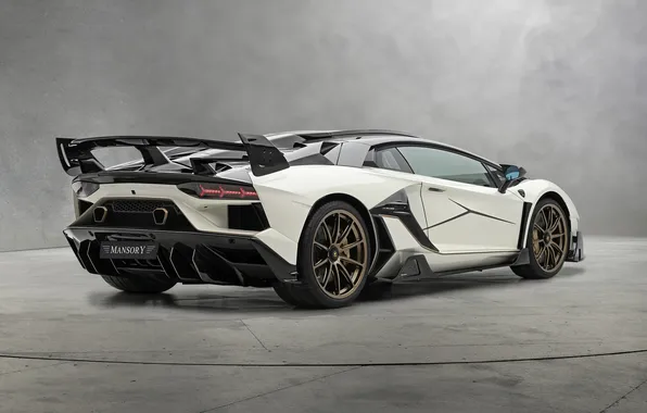 Power, supercar, sports car, supercar, Lamborghini Aventador, Mansory, sports car, the only instance