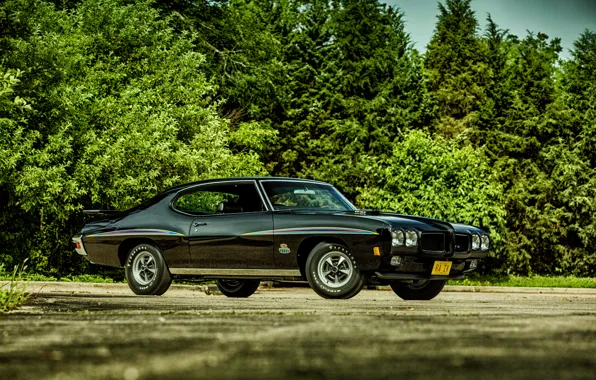Picture coupe, Coupe, Pontiac, GTO, 1970, Pontiac, Hardtop