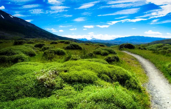 Greens, the sky, grass, clouds, mountains, valley, path, Patagonia
