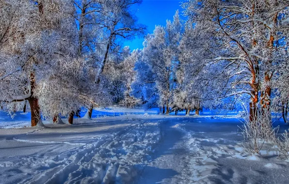ROAD, FOREST, The SKY, FROST, SNOW, WINTER, TRAIL, TREES
