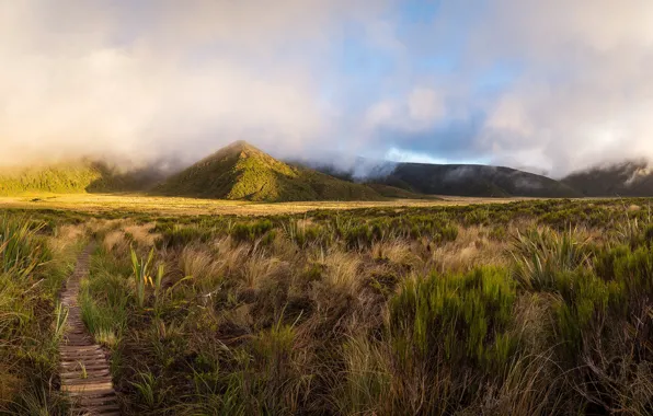 Greens, field, grass, the sun, clouds, mountains, fog, valley