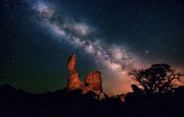 Picture the sky, stars, night, tree, desert, canyon, the milky way, silhouettes