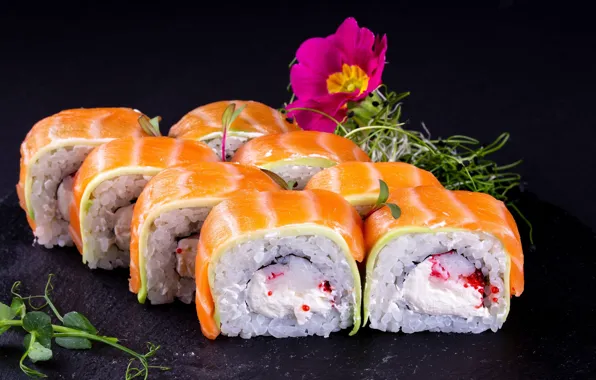Fish, figure, sushi, rolls, salmon