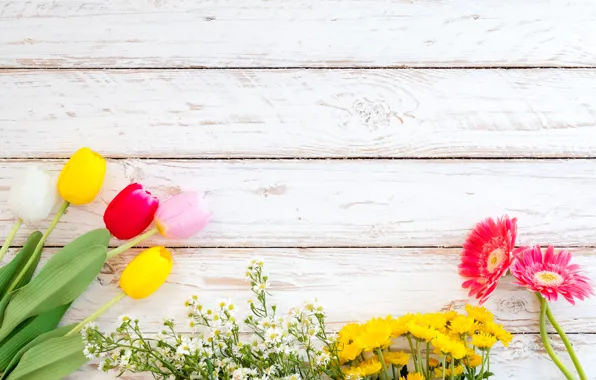 Picture flowers, spring, colorful, tulips, gerbera, wood, flowers, tulips