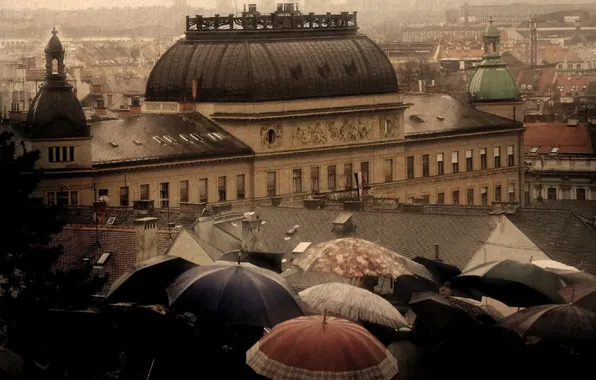 The city, rain, building, home, roof, umbrellas