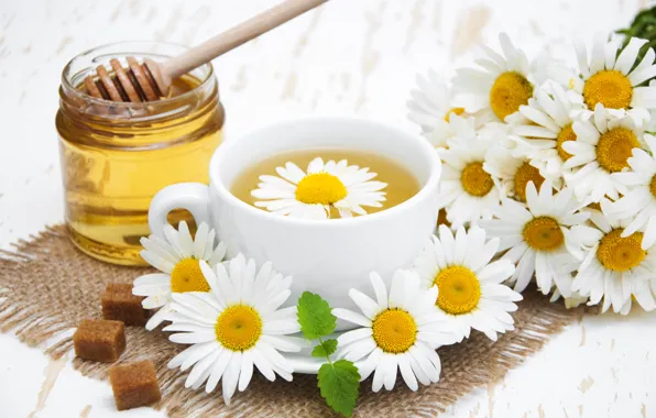 Picture flowers, chamomile, honey, tea fragrant