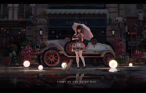 Wallpaper area, cat, street, girl, ibara dance, lights
