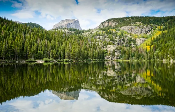 Forest, the sky, trees, mountains, reflection, stones, pond