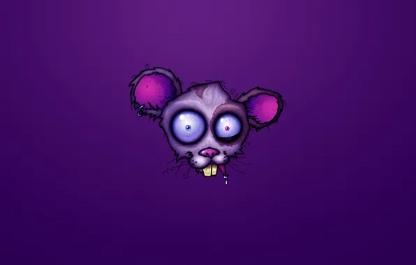 Picture purple, head, mouse, rabies, crazy, mad