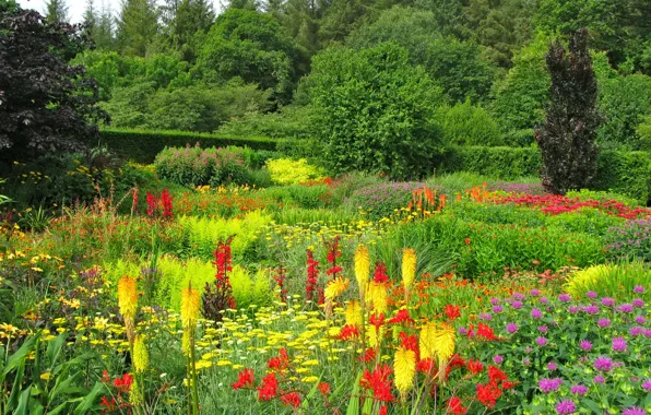 Picture greens, summer, grass, trees, flowers, Park, garden, UK