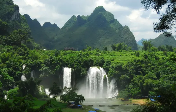 Picture forest, mountains, waterfalls, settlement